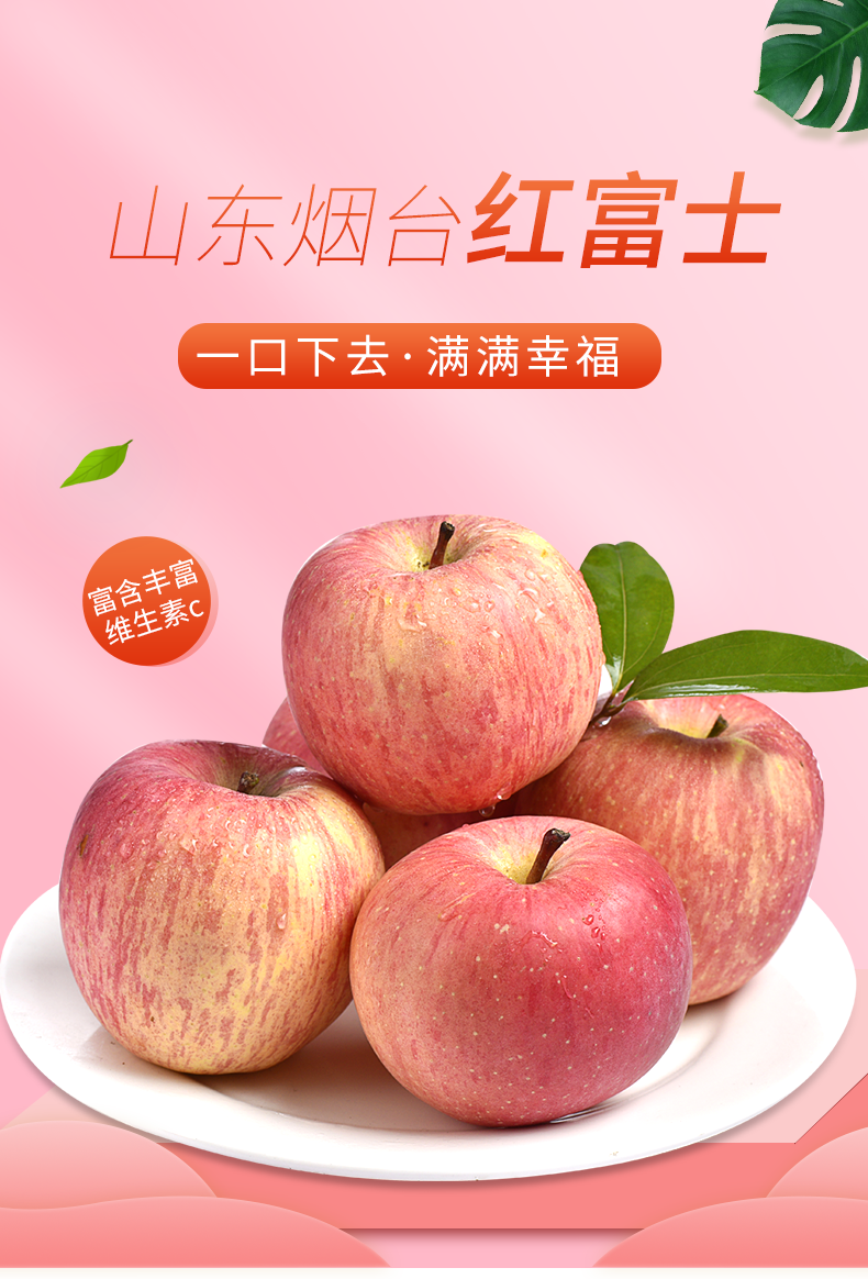 山东烟台红富士苹果